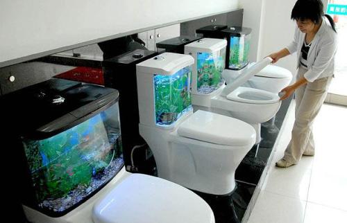 fish-tank-toilets_1107093i fish-tank-toilets_1107093i